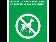 Placuta pentru parcuri  interzis la caine sa faca nevoile